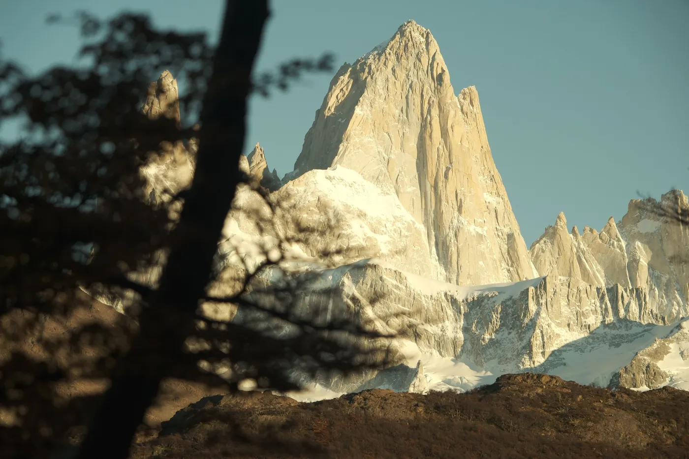 El Fitz Roy entre los árboles, visto desde El Chaltén